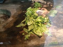 -上方山森林动物世界