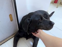 -曹歌摄影图文快印(大学城店)