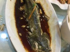 -柳饮·春柳酒家
