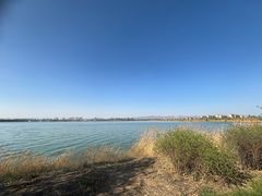 -包头南海湿地景区
