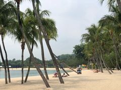 -巴拉湾海滩