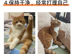 -达爱动物医院·犬猫分区·CT·复杂眼科(远洋山水分院)