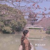 又见鼋头渚