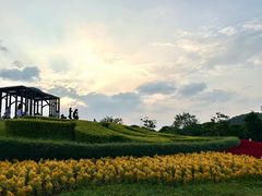 -东莞植物园
