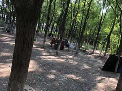 -亲兄弟真人CS团建拓展基地