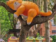 -西安电影制片厂