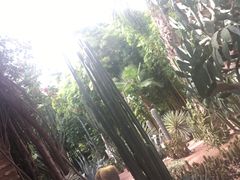 -马洛雷勒花园