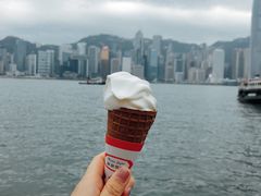 -富豪雪糕车流动点(尖沙咀店)