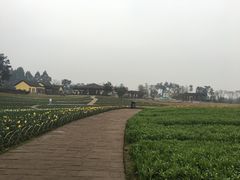 -保利石象湖景区
