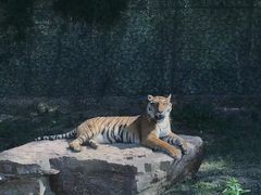 -乐和乐都主题乐园