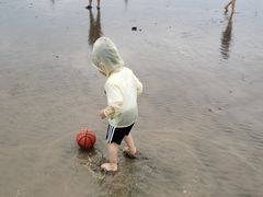 -奉贤海滩