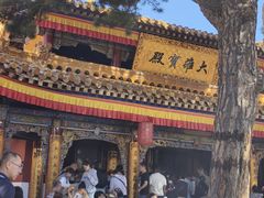 -五台山风景名胜区-罗睺寺