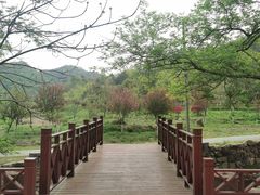 -董寨国家级自然保护区白云保护站