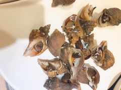 蒸海螺-海味当家(西安路店)