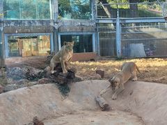 -昆明动物园