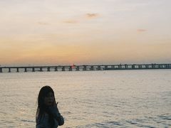 -宝安西湾红树林湿地公园