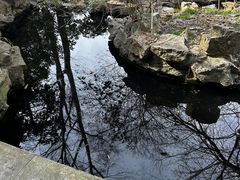 -镇江市南山风景名胜区竹林景区