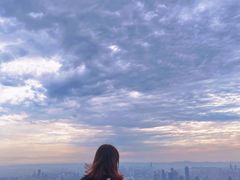 -大金鹰园