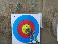 -道顺射箭·团建·骑射(张杨路店)