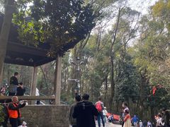 -灵岩山风景区