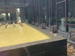 -上海崇明金茂凯悦酒店