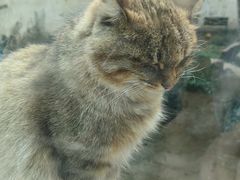 -青藏高原野生动物园