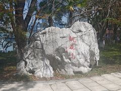 -金鸡湖桃花岛