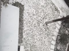 -南阳建业森林半岛假日酒店