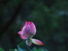 -长广溪湿地公园