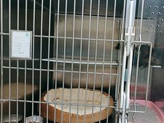 -安安宠医宠物医院·异宠·犬猫内科(岳阳分院)