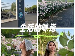 -南京国际青年文化中心