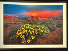 -罗红摄影艺术馆