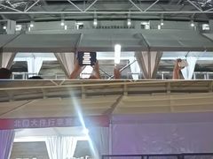 -沈阳奥林匹克体育中心