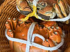 -蟹村草堂·苏式园林人文农家·大闸蟹