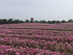 -歌斐颂巧克力小镇