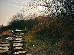 -盘龙城国家考古遗址公园