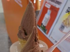 -野人先生现做冰淇淋(北京王府井东方新天地店)