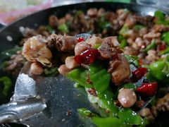 -吃奇喝哈童子鸡