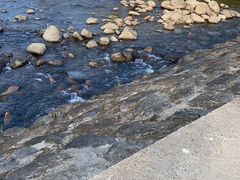 -千岛湖白云溪漂流