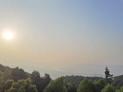 -铁山坪森林公园