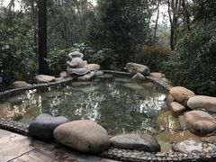 -天目湖涵田半山温泉