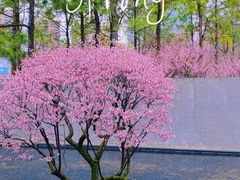-静安雕塑公园
