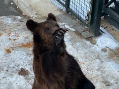 -大连森林动物园