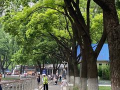 -西北湖绿化广场