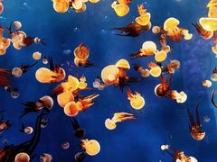 -多彩贵州城极地海洋世界