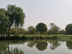 -西溪国家湿地公园