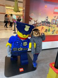 -kidsland(上海环球港店)