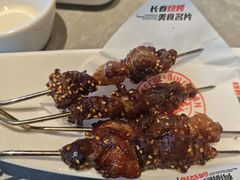 -鼎原力量东北吊炉烧烤(临河街店)