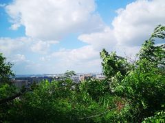 -北岭山森林公园