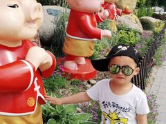 -合肥滨湖国家森林公园